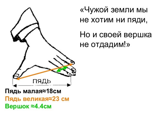 Пядь с кувырком. Что такое ни пяди. Толковый словарь слово пядь. Что такое ни пяди. Пядь мера длины.