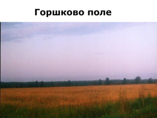 Горшково поле
 