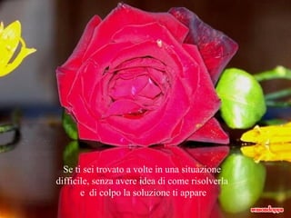 Se ti sei trovato a volte in una situazione  difficile, senza avere idea di come risolverla  e  di colpo la soluzione ti appare 