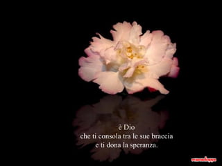 è Dio che ti consola tra le sue braccia e ti dona la speranza. 