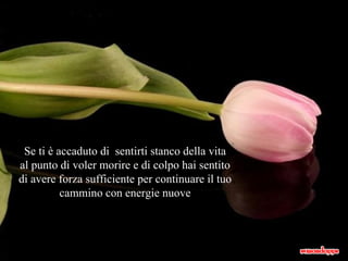 Se ti è accaduto di  sentirti stanco della vita al punto di voler morire e di colpo hai sentito di avere forza sufficiente per continuare il tuo cammino con energie nuove 