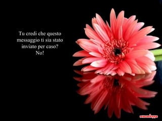 Tu credi che questo messaggio ti sia stato inviato per caso? No! 