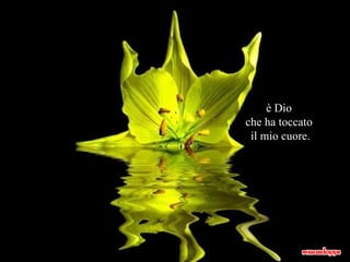 è Dio che ha toccato il mio cuore. 