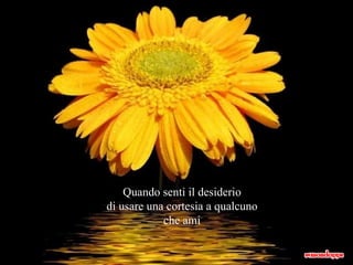 Quando senti il desiderio di usare una cortesia a qualcuno che ami 