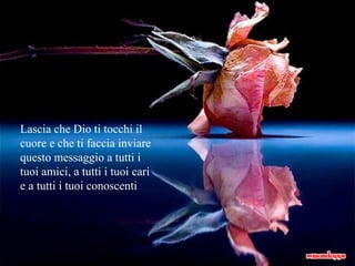 Lascia che Dio ti tocchi il cuore e che ti faccia inviare questo messaggio a tutti i tuoi amici, a tutti i tuoi cari e a tutti i tuoi conoscenti 