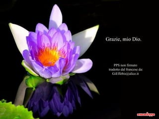 Grazie, mio Dio. PPS non firmato tradotto dal francese da: [email_address] 