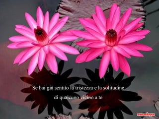 Se hai già sentito la tristezza e la solitudine di qualcuno vicino a te 