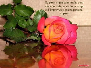 Se pensi a qualcuno molto caro che non vedi più da tanto tempo e d’improvviso questa persona  appare 