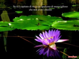 Se ti è capitato di ricevere qualcosa di meraviglioso che non avevi chiesto 