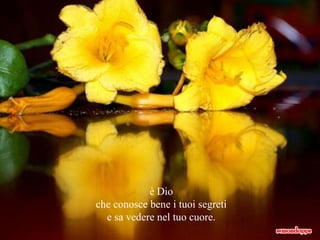 è Dio che conosce bene i tuoi segreti e sa vedere nel tuo cuore. 
