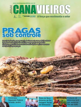 Revista Canavieiros - Novembro de 2014
1
 