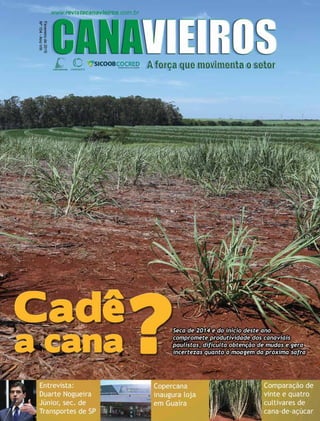 Revista Canavieiros - Fevereiro de 2015
1
 