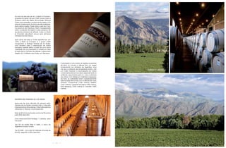 No final da década de 50, a Moët & Chandon,
empresa do grupo de luxo LVMH, enviou para a
América Latina seu diretor de enologia, Renaud
Poirier, para pesquisar o potencial da região com
relação à elaboração de vinhos de alta qualidade.
Após visitar a região, Poirier visitou Luján de Cuyo,
na província de Mendoza. Muito impressionado
pelas condições da região e pela presença de
excelentes vinhedos de altitude, Poirier e a Moët
& Chandon decidiram lançar seus primeiros
vinhedos fora da França.

Após várias décadas e muitas experiências, em
1999 a Moët & Chandon e o grupo LVMH
inauguraram a Bodega Terrazas de los Andes,
uma iniciativa para a elaboração de vinhos
tranqüilos varietais (feitos a partir de uma única
variedade de uva) pensados e criados em seus
emblemáticos vinhedos de altitude, nutridos pelo
degelo da Cordilheira dos Andes, em Mendoza.




                                                             Característica única entre as regiões produtoras
                                                             de vinho no mundo, a altitude tem um papel
                                                             fundamental nos vinhedos da Argentina, uma
                                                             vez que a variação de temperatura entre o dia
                                                             e a noite favorece a acumulação de certos              TORRONTES vINEYARDS
                                                             componentes de aroma e sabor, especialmente os
                                                             polifenóis, responsáveis pela cor, corpo e estrutura
                                                             dos vinhos. Com ênfase em maximizar a expressão
                                                             da fruta, as variedades foram cuidadosamente
                                                             selecionadas de acordo com a altitude de cada
                                                             vinhedo: Chardonnay (1200 metros); Malbec
                                                             (1067 metros); Cabernet Sauvignon (980 metros),
                                                             Petit Manseng (1000 metros) e Torrontés (1800
                                                             metros).




REFERÊNCIAS TERRAZAS DE LOS ANDES

Após mais de uma década da primeira safra,
Terrazas de los Andes compõe hoje o mercado
internacional de vinhos de luxo. Entre muitos prêmios
oferecidos a Terrazas, os principais são:

Mais de 80 vinhos pontuados acima de 90 pontos
pela Wine Spectator.

Duas vezes premiada Bodega 5 estrelas pela
Decanter.

Top 100 da revista Wine & Spirits, a única da
Argentina incluída na lista.

Top 20 W&S – Uma das 20 melhores Vinícolas do
Mundo, segundo a Wine Spectator.




                                                        30
 