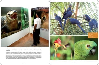 Refúgio Ecológico Caiman
                                                                                                                     Av . Brigadeiro Faria Lima, 3015
                                                                                                                     cj. 161 - Itaim Bibi
                                                                                                                     São Paulo - SP
                                                                                                                     55 11 3706-1800
                                                                                                                     Email: caiman@caiman.com.br
                                                                                                                     Site: www.caiman.com.br




O Refúgio Caiman conta ainda com uma Reserva Particular de Patrimônio Natural D. Aracy, uma área protegida
de 5.6 mil hectares dentro da fazenda, que reúne grande variedade de habits, isolada do gado, mas acessível
aos visitantes.

Foi criado um Centro de Interpretação Ambiental, espaço cultural que tem por objetivo, apresentar um
panorama completo do ecossistema, onde o visitante é conduzido por corredores e são exibidas imagens de
paisagens, fauna, flora e a cultura local.

O Refúgio Ecológico Caiman apóia e abriga dois projetos de manejo de espécies: o Projeto Arara Azul e Projeto
Papagaio Verdadeiro. O programa de Conservação da Natureza desenvolvido pelo refúgio foi reconhecido com
os títulos de Top 50 Ecolodges 2009 pela National Geographic Adventure Magazine, Highly Commended pela
Virgin Holiday Responsible Tourism Awards 2008 e finalista da Tourism for Tomorrow Awards 2007.




                                                        48                                                      49
 