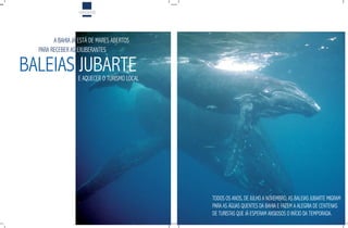 VIAGENS




        A BAHIA JÁ ESTÁ DE MARES ABERTOS
  PARA RECEBER AS EXUBERANTES

BALEIAS JUBARTE   E AQUECER O TURISMO LOCAL




                                              TODOS OS ANOS, DE JULHO A NOvEMBRO, AS BALEIAS JUBARTE MIGRAM
                                              PARA AS ÁGUAS QUENTES DA BAHIA E FAZEM A ALEGRIA DE CENTENAS
                                              DE TURISTAS QUE JÁ ESPERAM ANSIOSOS O INÍCIO DA TEMPORADA.
 