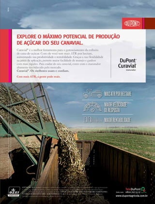 Revista Canavieiros - Setembro de 2014
13
 