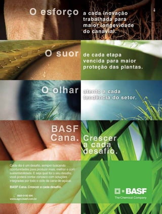 Revista Canavieiros - Setembro de 2014
2
 