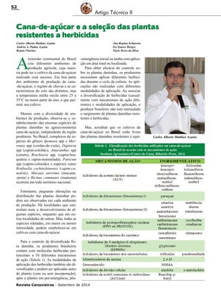 Revista Canavieiros - Setembro de 2014
52
Tabela 1. Classificação dos herbicidas utilizados em cana-de-açúcar
no Brasil de acordo com os mecanismos de ação.
Instituto Agronômico/Centro de Cana, Ribeirão Preto, 2014.
Cana-de-açúcar e a seleção das plantas
resistentes a herbicidas
Carlos Alberto Mathias Azania
Andréa A. Padua Azania
Renan Vitorino
Ana Regina Schiaveto
Ivo Soares Borges
Tácio Peres da Silva
A
extensão continental do Brasil
cria diferentes ambientes de
produção agrícola, cuja maio-
ria pode ter o cultivo da cana-de-açúcar
realizado com sucesso. Em boa parte
dos ambientes de produção da cana-
-de-açúcar, o regime de chuvas e as ca-
racterísticas do solo são distintos, mas
a temperatura média oscila entre 25 a
35°C na maior parte do ano, o que per-
mite seu cultivo.
Mesmo com a diversidade de am-
bientes de produção, observa-se o es-
tabelecimento das mesmas espécies de
plantas daninhas no agroecossistema
cana-de-açúcar, independente da região
produtora. No Brasil, complexos de es-
pécies do gênero Ipomoea spp e Mer-
remia spp (cordas-de-viola), Digitaria
spp (capim-colchão), Amaranthus spp
(caruru), Brachiaria spp. (capim-bra-
quiária e capim-marmelada), Panicum
spp (capim-colonião) e espécies como
Rottboelia cochinchinensis (capim-ca-
malote), Mucuna aterrima (mucuna-
-preta) e Ricinus communis (mamona)
ocorrem em todo território nacional.
Entretanto, pequenas alterações na
distribuição das plantas daninhas po-
dem ser observadas em cada ambiente
de produção. Há localidades que esti-
mulam mais o desenvolvimento de al-
gumas espécies, enquanto que em ou-
tras localidades de outras. Mas, todas as
espécies relatadas, em maior ou menor
intensidade, podem estabelecer-se em
cultivos com cana-de-açúcar.
Para o controle da diversificada flo-
ra daninha, os produtores brasileiros
contam com moléculas herbicidas per-
tencentes a 10 diferentes mecanismos
de ação (Tabela 1). As modalidades de
aplicação dos herbicidas também são di-
versificadas e podem ser aplicadas antes
do plantio (com ou sem incorporação),
após o plantio em pré-emergência, pós-
-emergência inicial ou tardia com aplica-
ção em área total ou localizada.
Para obter eficácia de controle so-
bre as plantas daninhas, os produtores
necessitam aplicar diferentes herbici-
das durante o ciclo da cultura. As apli-
cações são realizadas com diferentes
modalidades de aplicação. Ao associar
a diversificação de herbicidas (casual-
mente com mecanismos de ação dife-
rentes) e modalidades de aplicação, o
produtor brasileiro não tem estimulado
o surgimento de plantas daninhas resis-
tentes a herbicidas.
Mas, acreditar que os cultivos da
cana-de-açúcar no Brasil estão livres
das plantas daninhas resistentes é equí-
Artigo Técnico II
Carlos Alberto Mathias Azania
 