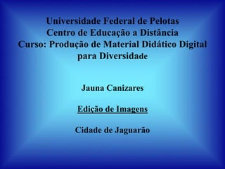 Universidade Federal de Pelotas
      Centro de Educação a Distância
Curso: Produção de Material Didático Digital
             para Diversidade


              Jauna Canizares

             Edição de Imagens

             Cidade de Jaguarão
 