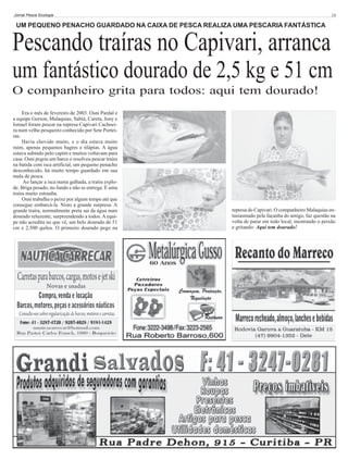 Jornal Pesca Ecologia

19

UM PEQUENO PENACHO GUARDADO NA CAIXA DE PESCA REALIZA UMA PESCARIA FANTÁSTICA

Pescando traíras no Capivari, arranca
um fantástico dourado de 2,5 kg e 51 cm
O companheiro grita para todos: aqui tem dourado!
Era o mês de fevereiro de 2003. Osni Pardal e
a equipe Gerson, Malaquias, Sabiá, Careta, Jony e
Ismael foram pescar na represa Capivari Cachoeira num velho pesqueiro conhecido por Sete Porteiras.
Havia chovido muito, e o dia estava muito
ruim, apenas pequenos bagres e tilápias. A água
estava subindo pelo capim e muitos voltavam para
casa. Osni pegou um barco e resolveu pescar traíra
na batida com isca artificial, um pequeno penacho
desconhecido, há muito tempo guardado em sua
mala de pesca.
Ao lançar a isca numa galhada, a traíra explode. Briga pesado, no fundo e não se entrega. É uma
traíra muito estranha.
Osni trabalha o peixe por algum tempo até que
consegue embarcá-la. Nisto a grande surpresa: A
grande traíra, normalmente preta sai da água num
dourado reluzente, surpreendendo a todos. A equipe não acredita no que vê, um belo dourado de 51
cm e 2,500 quilos. O primeiro dourado pego na

represa do Capivari. O companheiro Malaquias entusiasmado pela façanha do amigo, faz questão na
volta de parar em todo local, mostrando o peixão
e gritando: Aqui tem dourado!

 