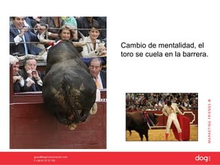 Cambio de mentalidad, el
toro se cuela en la barrera.
 