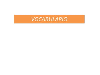 VOCABULARIO
 