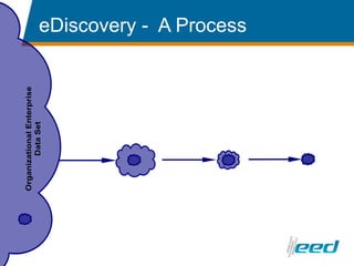 eDiscovery Perspective | PPTX