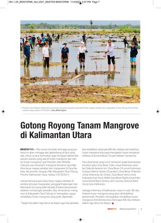7
08/November/XI/2021
BRAFOPMK - “Kita tanam kembali sehingga yang per-
tama ini akan menjaga dari gelombang air laut yang
ada, intrusi air laut, kemudian juga menjaga habitat dari
spesies-spesies yang ada di hutan mangrove dan seki-
tar hutan mangrove,”ujar Presiden Joko Widodo
(Jokowi) usai menanam mangrove bersama sejumlah
duta besar negara sahabat dan masyarakat di Desa Be-
batu, Kecamatan Sesayap Hilir, Kabupaten Tana Tidung,
Provinsi Kalimantan Utara, Selasa, (19/10/2021).
Jokowi bersama para duta besar negara sahabat di-
sambut antusias masyarakat, penggiat lingkungan dan
kelompok tani yang telah berada di lokasi penanaman
sebelum rombongan presiden tiba. Penanaman mang-
rove di Kabupaten Tana Tidung ini merupakan upaya
rehabilitasi hutan mangrove yang perlu diperbaiki.
“Target kita dalam tiga tahun ke depan agar kita perbaiki,
kita rehabilitasi sebanyak 600 ribu hektare dari total luas
hutan mangrove kita yang merupakan hutan mangrove
terbesar di dunia (seluas) 3,6 juta hektare,” tandasnya.
Para duta besar yang turut menanam pada kesempatan
tersebut yaitu Duta Besar Ceko untuk Indonesia Jaros-
lav Dolecek beserta istri, Duta Besar Cili untuk Indonesia
Gustavo Nelson Ayares Ossandron, Duta Besar Finlandia
untuk Indonesia Jari Sinkari, Duta Besar Swiss untuk
Indonesia Kurt Kunz, Wakil Duta Besar Brazil untuk Indo-
nesia Daniel Barra Ferreira, dan Country Director Bank
Dunia Satu Kahkonen.
Sebagai informasi, di Kalimantan Utara ini ada 180 ribu
hektare hutan mangrove yang akan direhabilitasi
pemerintah. Presiden menargetkan rehabilitasi hutan
mangrove di Indonesia bisa mencapai 600 ribu hektare
dalam tiga tahun ke depan. g
Gotong Royong Tanam Mangrove
di Kalimantan Utara
Presiden Joko Widodo (kedua kiri) menanam mangrove bersama sejumlah Dubes negara sahabat dan masyarakat di Tana Tidung, Provinsi Kali-
mantan Utara, Selasa (19/10/2021). Foto: BPMI Setpres
Hlm 1-25_BRAFOPMK_Nov-2021_MASTER BRAFOPMK 11/4/2021 5:47 PM Page 7
 