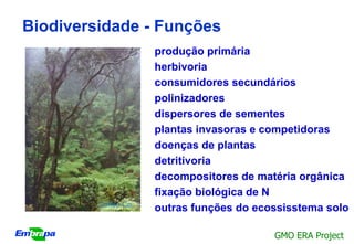 Biodiversidade - Funções
                      produção primária
                      herbivoria
                      consumidores secundários
                      polinizadores
                      dispersores de sementes
                      plantas invasoras e competidoras
                      doenças de plantas
                      detritivoria
                      decompositores de matéria orgânica
                      fixação biológica de N
         Coffee Co.
                      outras funções do ecossisstema solo

                                           GMO ERA Project
 