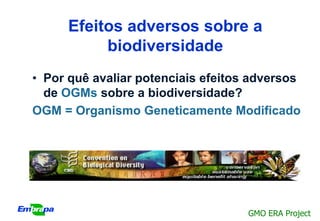 Efeitos adversos sobre a
           biodiversidade
• Por quê avaliar potenciais efeitos adversos
  de OGMs sobre a biodiversidade?
OGM = Organismo Geneticamente Modificado




                                    GMO ERA Project
 