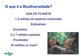 O que é a Biodiversidade?
                 VIDA NO PLANETA
         1,5 milhões de espécies conhecidas
                      Estimativas:
      Eucariotos:
     5 a 7 milhões espécies
      Procariotos:
     30 milhões ou mais?

                                              Zingler
 