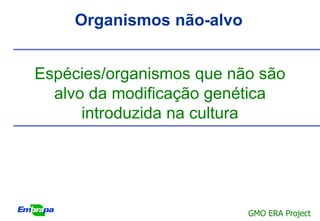 Organismos não-alvo


Espécies/organismos que não são
  alvo da modificação genética
      introduzida na cultura




                          GMO ERA Project
 