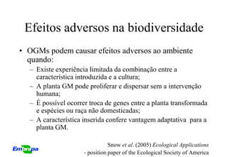 Efeitos adversos na biodiversidade
• OGMs podem causar efeitos adversos ao ambiente
  quando:
  – Existe experiência limitada da combinação entre a
    característica introduzida e a cultura;
  – A planta GM pode proliferar e dispersar sem a intervenção
    humana;
  – É possível ocorrer troca de genes entre a planta transformada
    e espécies ou raça não domesticadas;
  – A característica inserida confere vantagem adaptativa para a
    planta GM.

                                Snow et al. (2005) Ecological Applications
                     - position paper of the Ecological Society of America
 