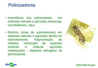 Polinizadores

• Importância dos polinizadores       em
  sistemas naturais e agrícolas (maracujá,
  cucurbitáceas, caju)

• Declínio (crise de polinizadores) em
  sistemas naturais e agrícolas devido ao
  desmatamento,      fragmentação       de
  habitats, introdução de espécies
  exóticas     e    práticas     agrícolas
  inadequadas - espécies selvagens de
  polinizadores


                                             GMO ERA Project
 