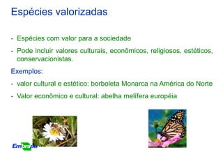 Espécies valorizadas

- Espécies com valor para a sociedade
- Pode incluir valores culturais, econômicos, religiosos, estéticos,
  conservacionistas.
Exemplos:
- valor cultural e estético: borboleta Monarca na América do Norte
- Valor econômico e cultural: abelha melífera européia
 