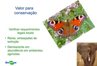 Valor para
      conservação



  Verificar requerimentos
         legais locais
• Raras, ameaçadas de
  extinção
• Decrescente em
  abundância em ambientes
  agrícolas
 