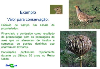Exemplo
    Valor para conservação:
Ensaios de campo     em   escala   de
propriedades:
Financiado e conduzido como resultado
da preocupação com as populações de
aves que se alimentam de insetos e
sementes de plantas daninhas que
ocorrem em lavouras.
Populações    declinaram rapidamente
durante os últimos 30 anos no Reino
Unido
 