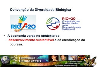 Convenção da Diversidade Biológica




• A economia verde no contexto do
  desenvolvimento sustentável e da erradicação da
   pobreza.
 