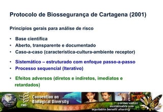 Protocolo de Biossegurança de Cartagena (2001)

Principios gerais para análise de risco

• Base científica
• Aberto, transparente e documentado
• Caso-a-caso (característica-cultura-ambiente receptor)

• Sistemático – estruturado com enfoque passo-a-passo
• Processo sequencial (Iterativo)

• Efeitos adversos (diretos e indiretos, imediatos e
  retardados)
 