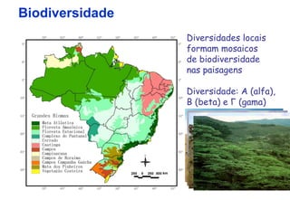 Biodiversidade
                 Diversidades locais
                 formam mosaicos
                 de biodiversidade
                 nas paisagens

                 Diversidade: Α (alfa),
                 Β (beta) e Γ (gama)
 