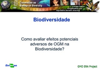 Biodiversidade


Como avaliar efeitos potenciais
   adversos de OGM na
      Biodiversidade?



                              GMO ERA Project
 