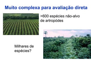 Muito complexa para avaliação direta
                  >600 espécies não-alvo
                  de artropódes




    Milhares de
    espécies?
 