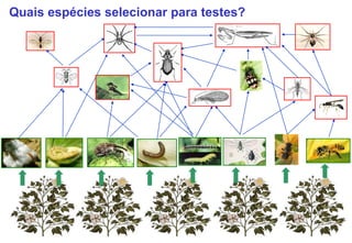 Quais espécies selecionar para testes?
 