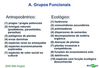 A. Grupos Funcionais


 Antropocêntrico:                 Ecológico:
                                  (1) herbivoria
(1) pragas / pragas potenciais
                                  (2) consumidores secundários
(2) inimigos naturais
   (predadores, parasitóides,     (3) polinizadores
   parasitos)                     (4) dispersores de sementes
(3) patógenos de plantas          (5) decompositores de matéria
(4) ervas daninhas                   orgânica
(5) espécies raras ou ameaçadas   (6) doenças de plantas
(6) espécies economicamente       (7) plantas invasoras e
   exploradas                        competidoras
(7) espécies de valor social ou   (8) funções do ecossisstema solo
   cultural                       (9) detritivoria
                                  (10) espécies com função ecológica
                                     desconhecida
GMO ERA Project
 
