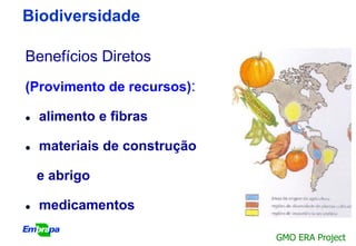 Biodiversidade

Benefícios Diretos
(Provimento de recursos):

   alimento e fibras

   materiais de construção

    e abrigo

   medicamentos

                              GMO ERA Project
 