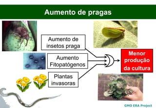 Aumento de pragas


 Aumento de
insetos praga
                      Menor
    Aumento         produção
 Fitopatógenos
                    da cultura
  Plantas
 invasoras


                    GMO ERA Project
 