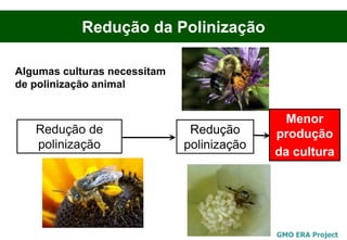 Redução da Polinização

Algumas culturas necessitam
de polinização animal


                                              Menor
   Redução de                  Redução      produção
   polinização                polinização
                                            da cultura




                                            GMO ERA Project
 