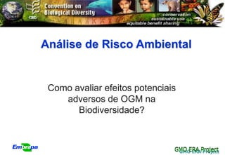 Análise de Risco Ambiental


 Como avaliar efeitos potenciais
    adversos de OGM na
       Biodiversidade?



                               GMO ERA Project
                                GMO ERA Project
 