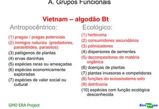 A. Grupos Funcionais

          Vietnam – algodão Bt
Antropocêntrico:      Ecológico:
                                     (1) herbivoria
(1) pragas / pragas potenciais
                                     (2) consumidores secundários
(2) inimigos naturais (predadores,
   parasitóides, parasitos)          (3) polinizadores
(3) patógenos de plantas             (4) dispersores de sementes
(4) ervas daninhas                   (5) decompositores de matéria
                                        orgânica
(5) espécies raras ou ameaçadas
                                     (6) doenças de plantas
(6) espécies economicamente
   exploradas                        (7) plantas invasoras e competidoras
(7) espécies de valor social ou      (8) funções do ecossisstema solo
   cultural                          (9) detritivoria
                                     (10) espécies com função ecológica
                                        desconhecida

GMO ERA Project
 