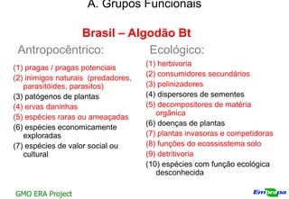 A. Grupos Funcionais

            Brasil – Algodão Bt
 Antropocêntrico:       Ecológico:
                                     (1) herbivoria
(1) pragas / pragas potenciais
                                     (2) consumidores secundários
(2) inimigos naturais (predadores,
   parasitóides, parasitos)          (3) polinizadores
(3) patógenos de plantas             (4) dispersores de sementes
(4) ervas daninhas                   (5) decompositores de matéria
                                        orgânica
(5) espécies raras ou ameaçadas
                                     (6) doenças de plantas
(6) espécies economicamente
   exploradas                        (7) plantas invasoras e competidoras
(7) espécies de valor social ou      (8) funções do ecossisstema solo
   cultural                          (9) detritivoria
                                     (10) espécies com função ecológica
                                        desconhecida

GMO ERA Project
 